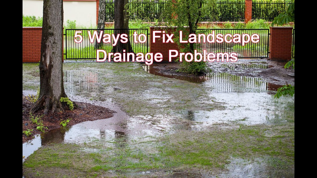 5 Ways to Fix Landscape Drainage Problems
