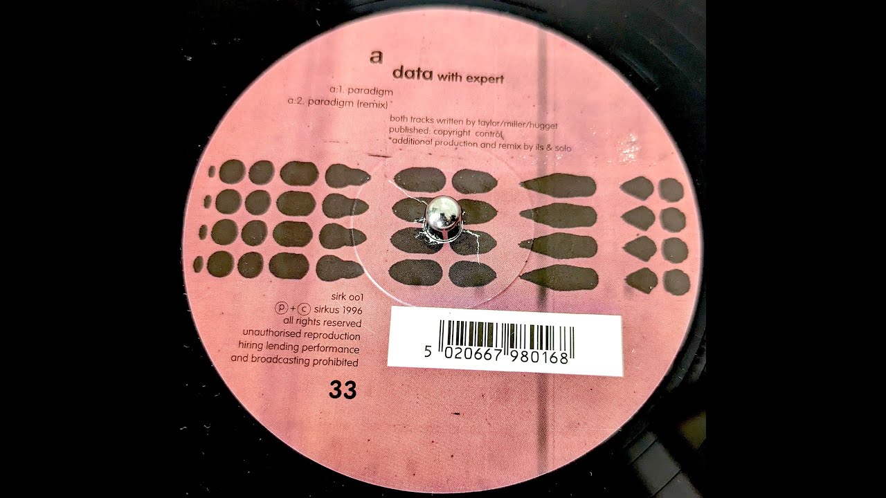 Data with expert - Paradigm remix