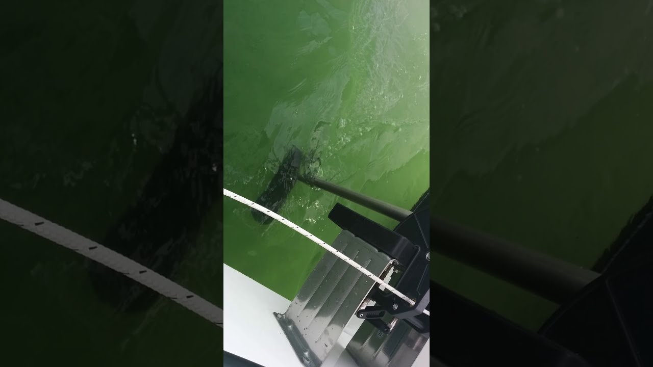 Electric Motors on a Gemini 105m Catamaran (Part 1)