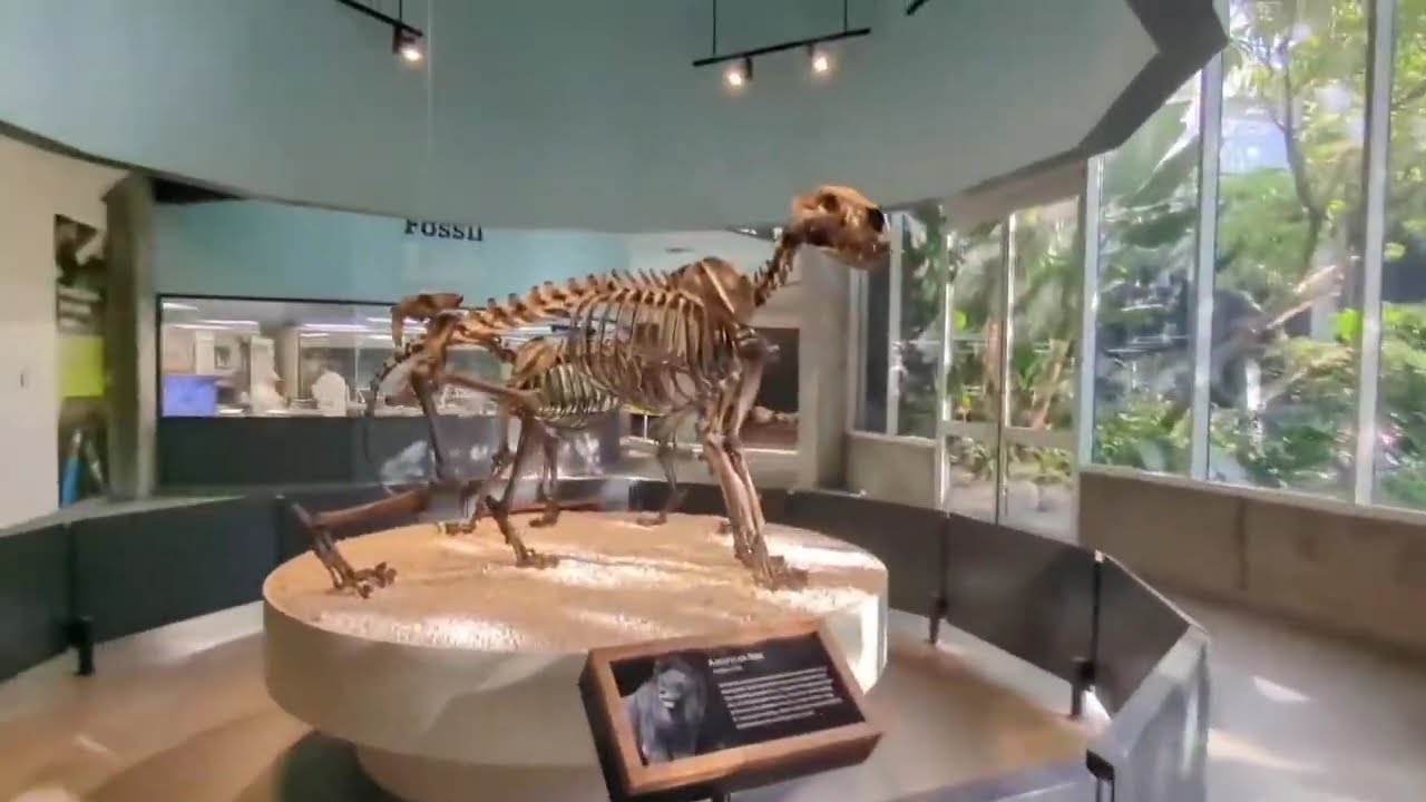 LA Brea Tar Pits and Museum in Los Angeles near LACMA beyond the downtown