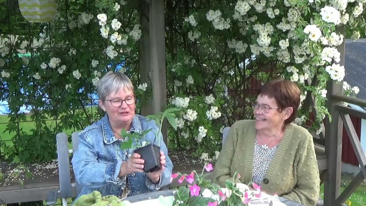 Avsnitt 27, 2024  Inspirerande trädgårdar