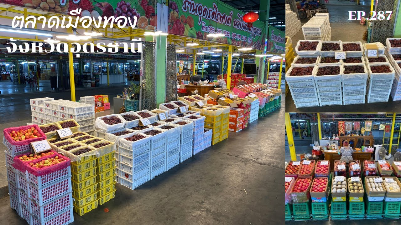 ไปซื้อผลไม้ ตลาดเมืองทอง จังหวัดอุดรธานี / เศรษฐี ไม่มีนาย EP.287