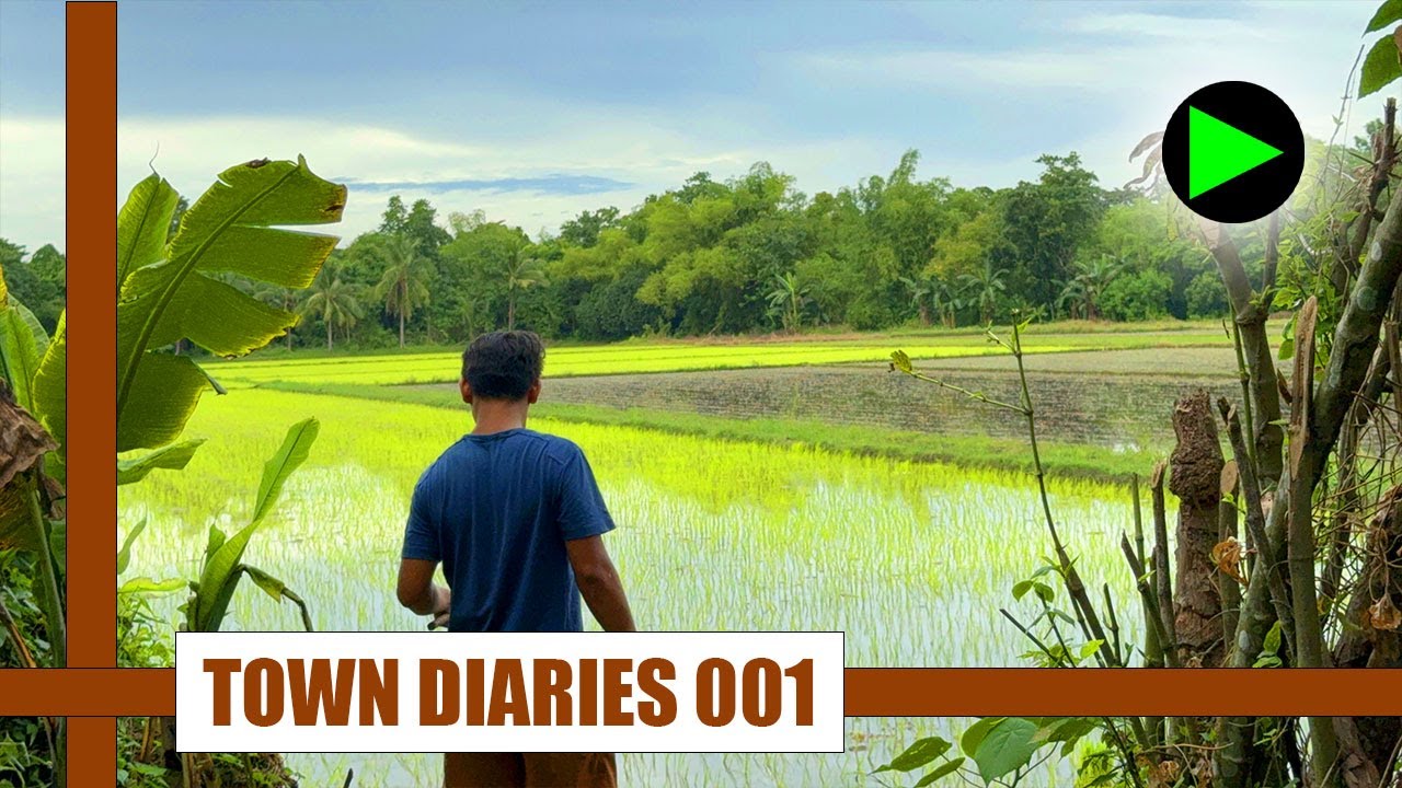 🇵🇭 (2024) KABACAN • Countryside Life in Cotabato, Philippines