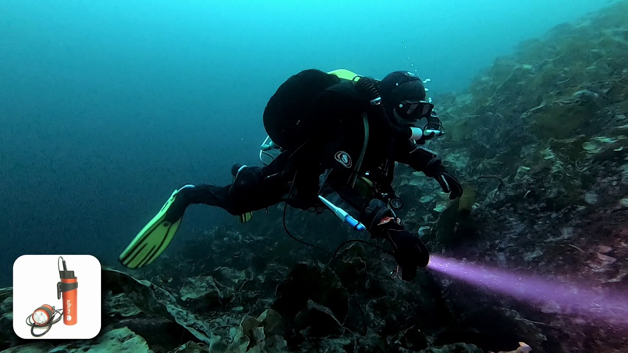 Nanight dive lights