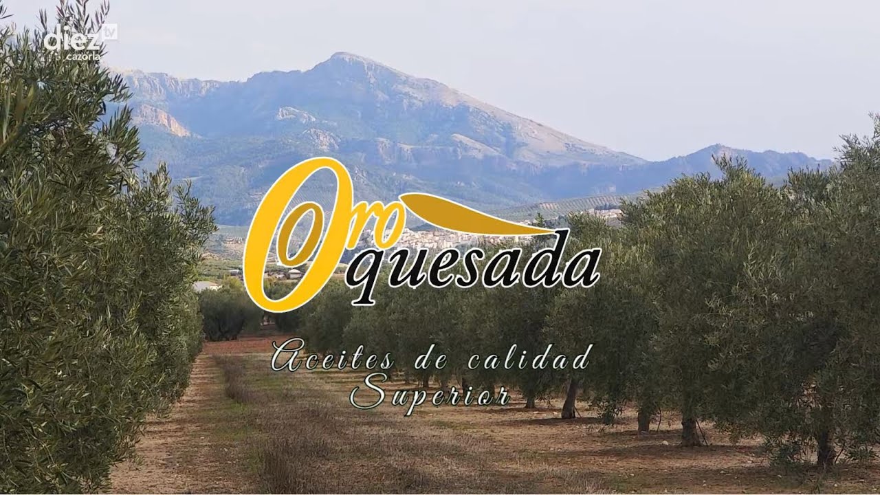 #Quesada | Cata de aceites tempranos ORO QUESADA por Ingleses en la propia finca | 101125_
