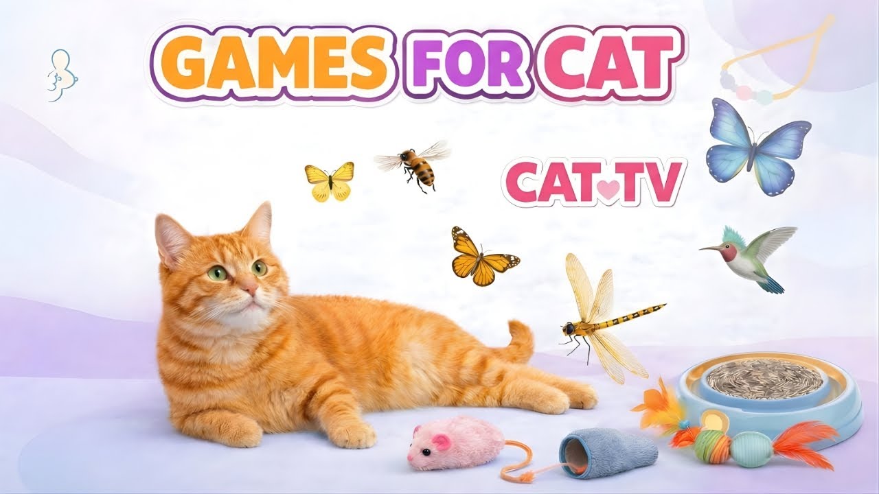 CAT GAMES 🐾 3D Cat TV Crickets & Lizards — Endless Hunt Stalk & Swat Loop 🦗🦎 | 6 Hours 4K60FPS