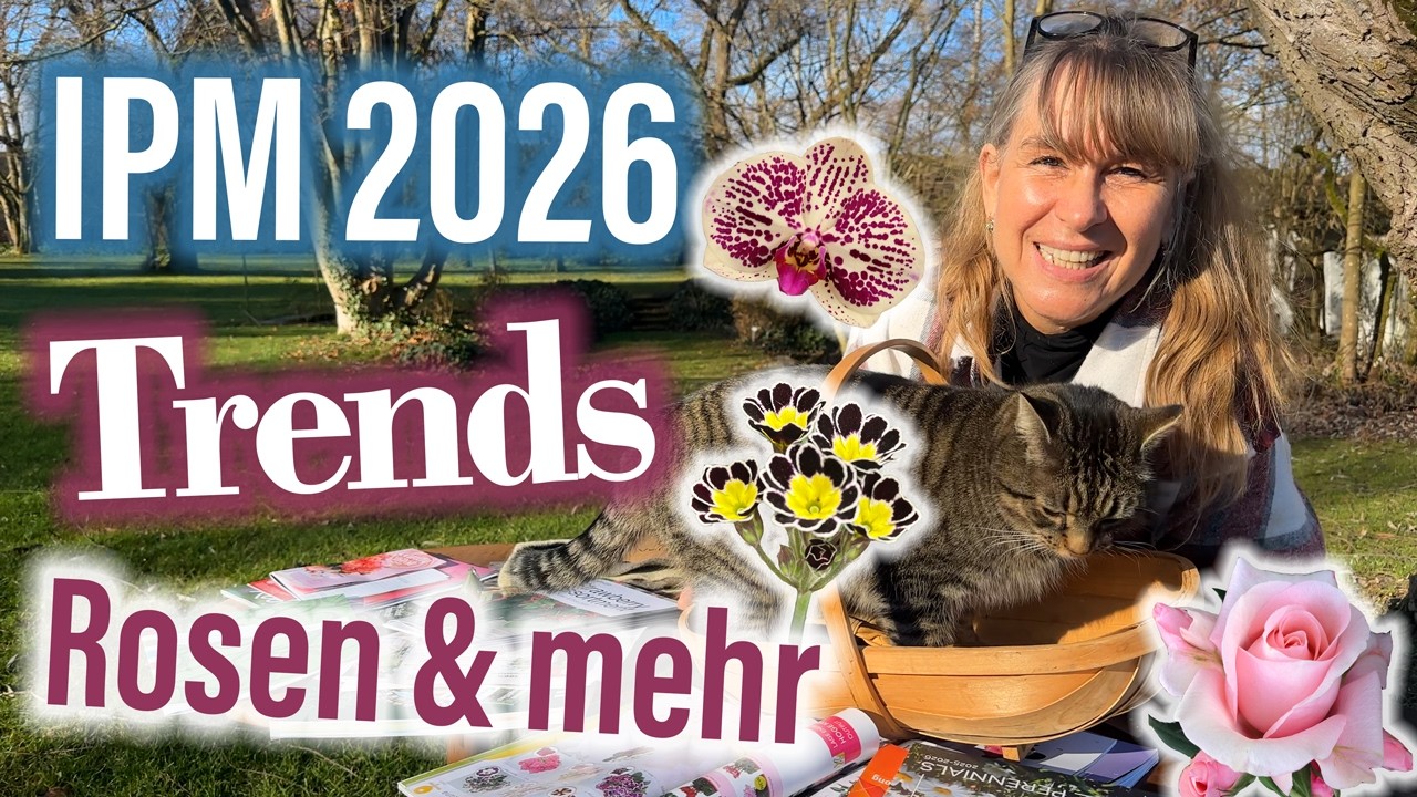 TRENDS 🌹 NEUHEITEN 🐝 UND VIELES MEHR 🌸 Unser Rückblick auf die IPM 2026