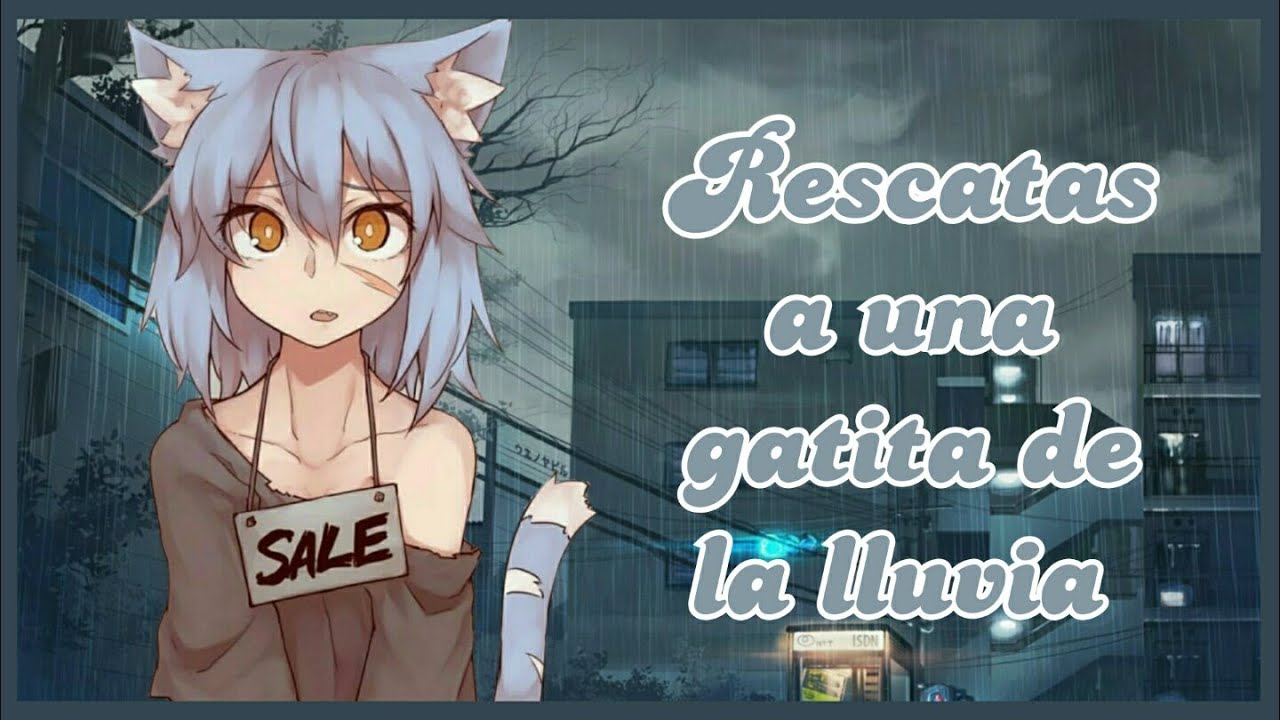 Rescatas a una gatita de la lluvia~ASMR ROLEPLAY ESPAÑOL