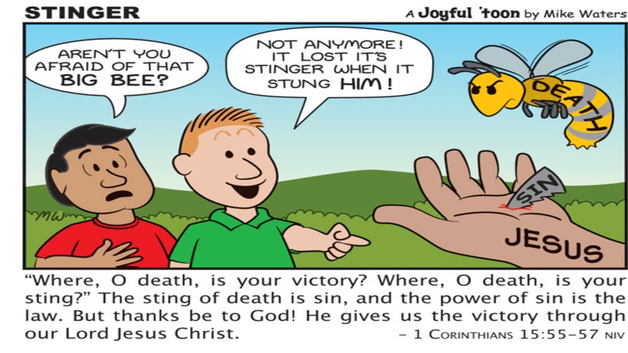 Stinger | Christian Cartoons With Joyful Message | Joyful Toons | Kids Bedtime Stories