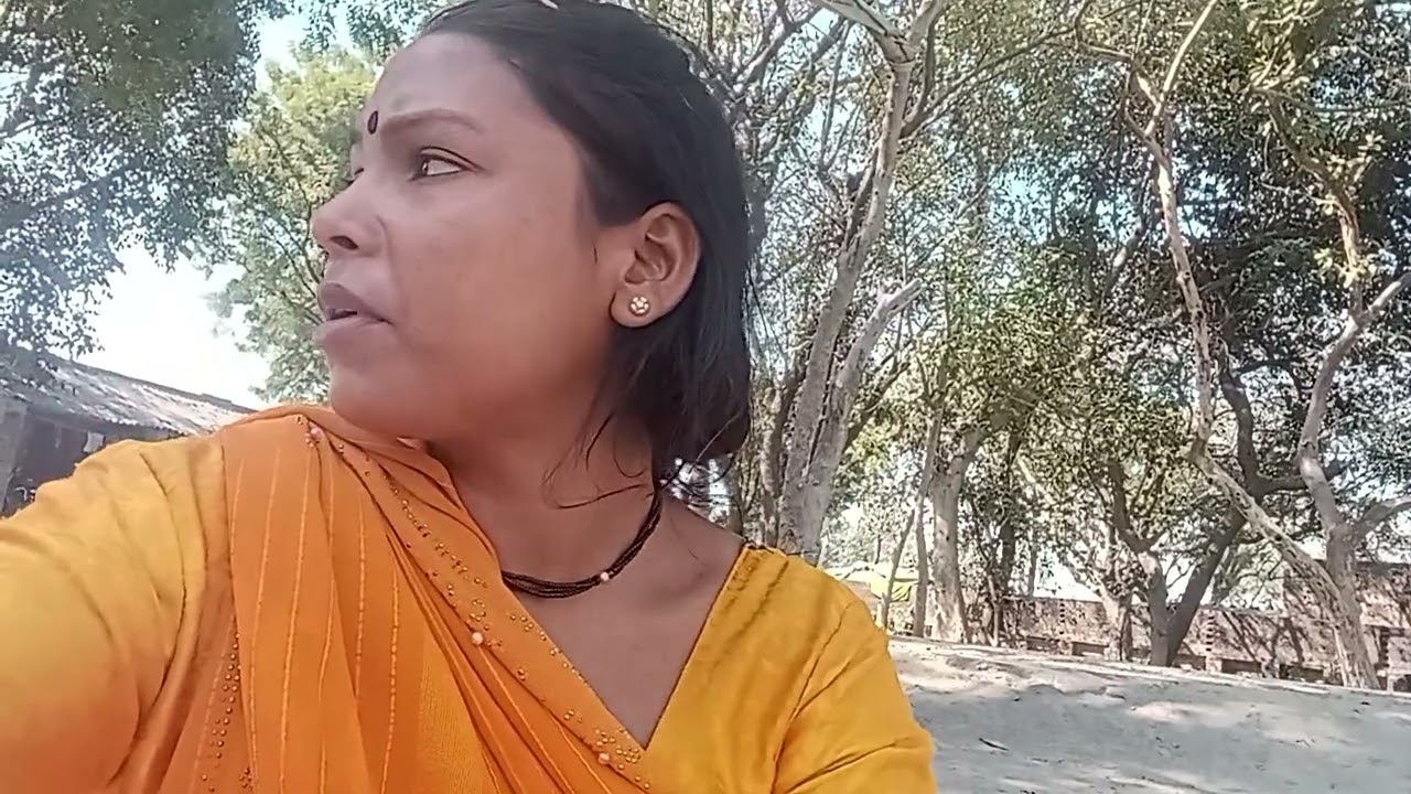 बहुत मजेदार चोखा बनेंगे आलू बैंगन टमाटर का