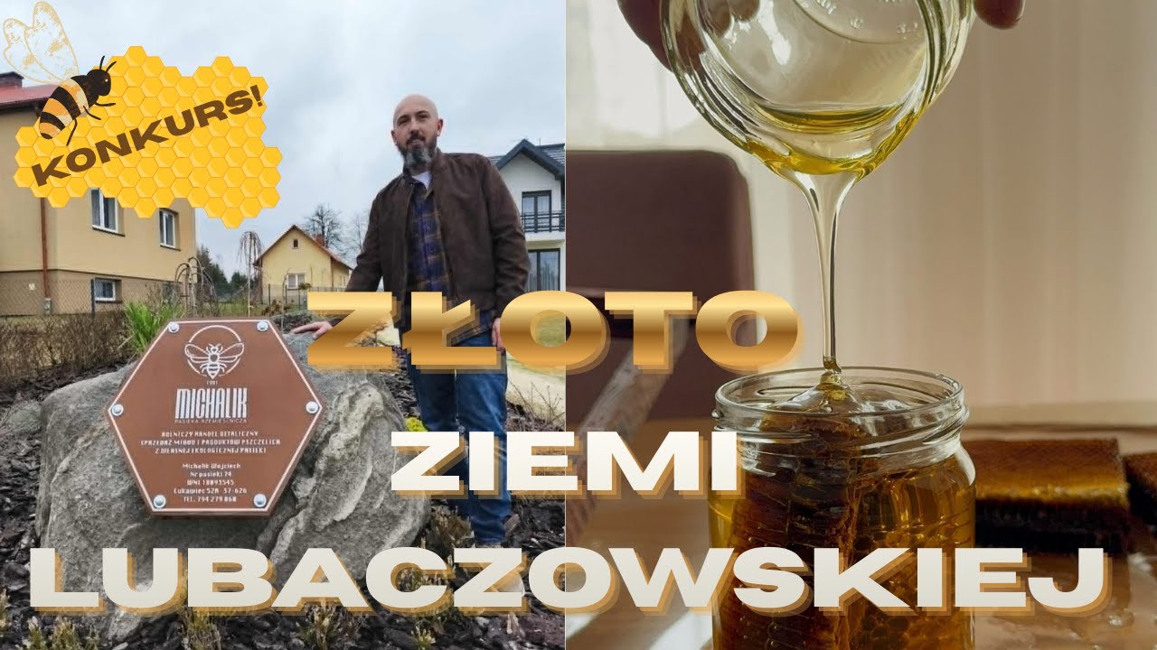 Czy pszczół jest ZA DUŻO w Polsce? - Wojciech Michalik #3