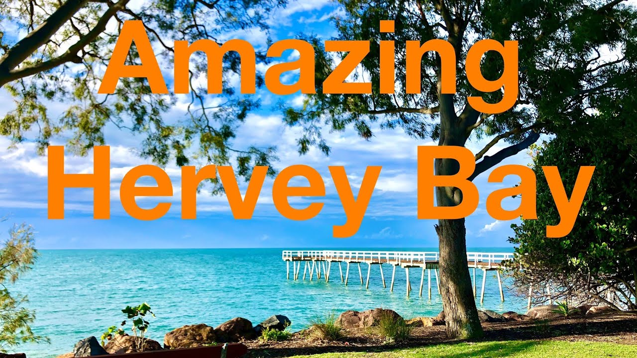 Amazing Hervey Bay, Sights and Sounds