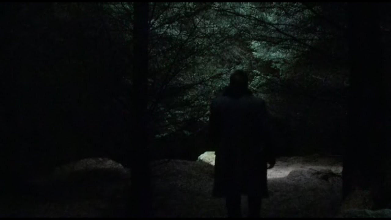 Dylan Carlson ,The House Of Albion ( Documentary )