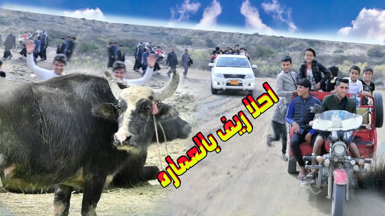 الاصالة ناس متواضعة الله يديم الافراح - خطوبه في الريف / صادق هاشم الهليجي و صيهود سالم الهليجي