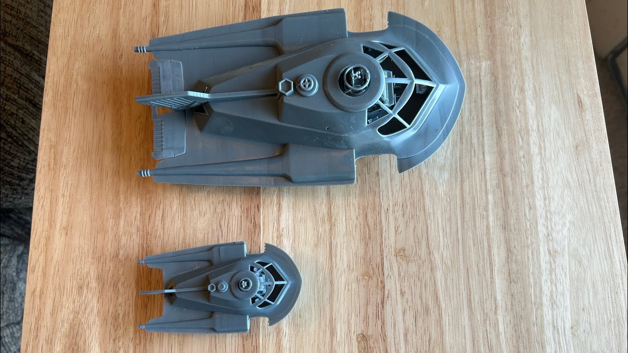 Fantastic Voyage A tale of two Proteai! Part 1!