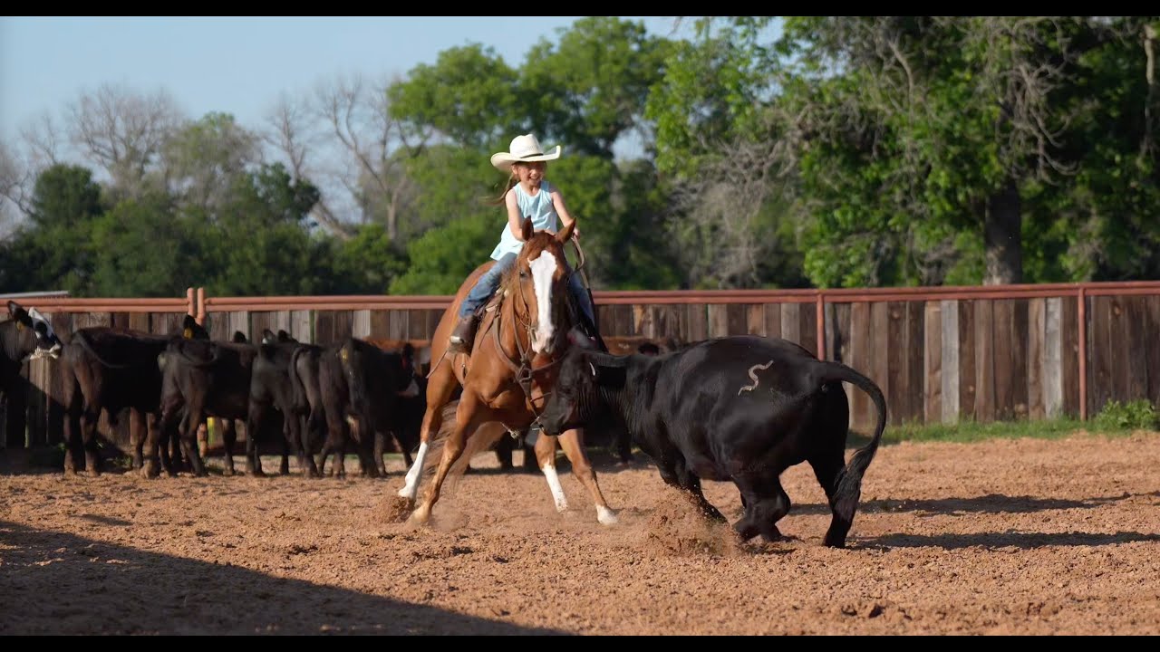 SOLD! COW HORSE DELUX, Bodie