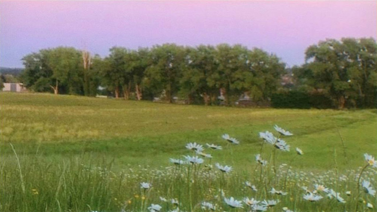a quiet playlist for quiet moments of life 🍃 (reading, studying & relaxing)