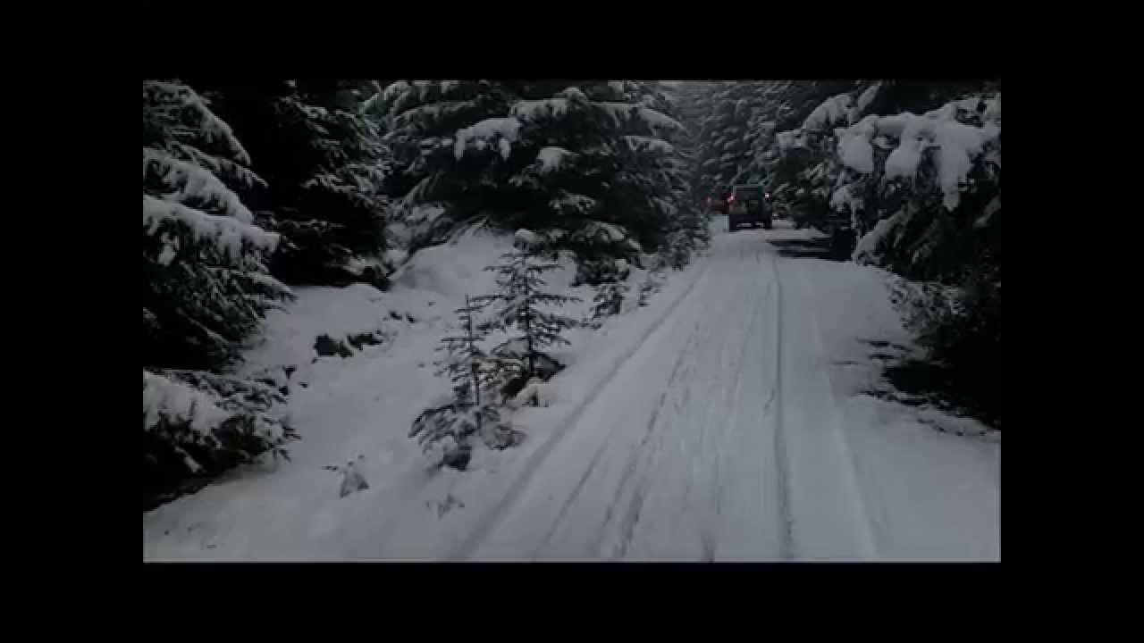 Kielder Adventure