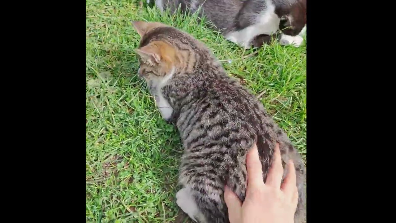 Güzelliklerim 🤩🥰