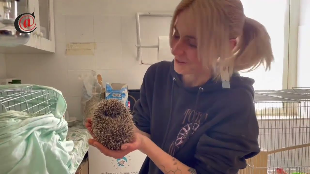 Centro recupero fauna selvatica e tartarughe marine di Cattolica Eraclea