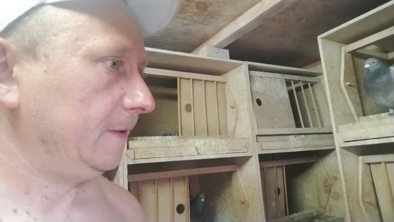 Katastroficzna 600