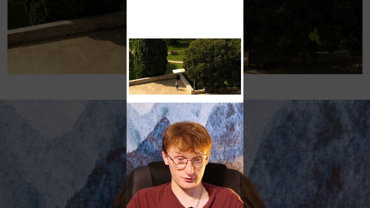 PHOTO ANALYSIS 