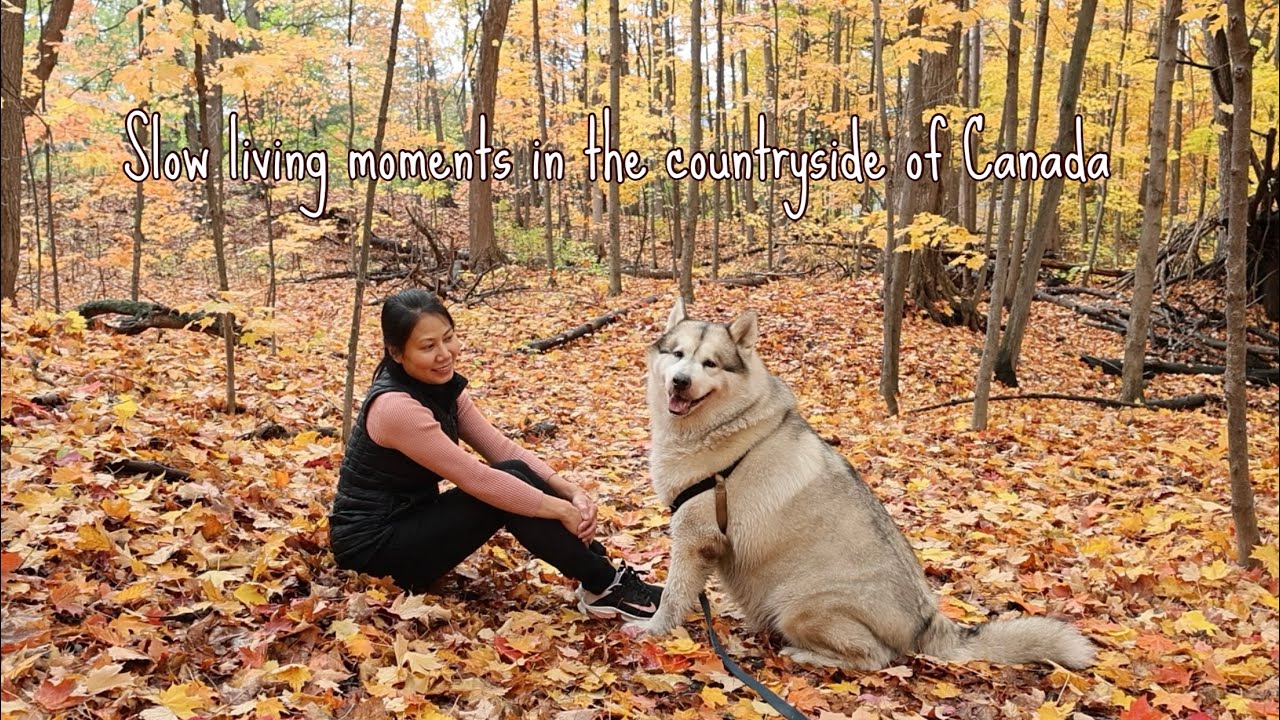 #06 Autumn Cooking & Cozy Vibes | Slow Living Moments in the Countryside