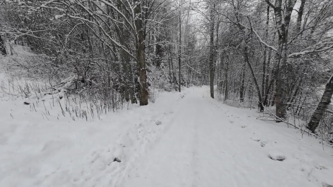 Luminen mets&auml;