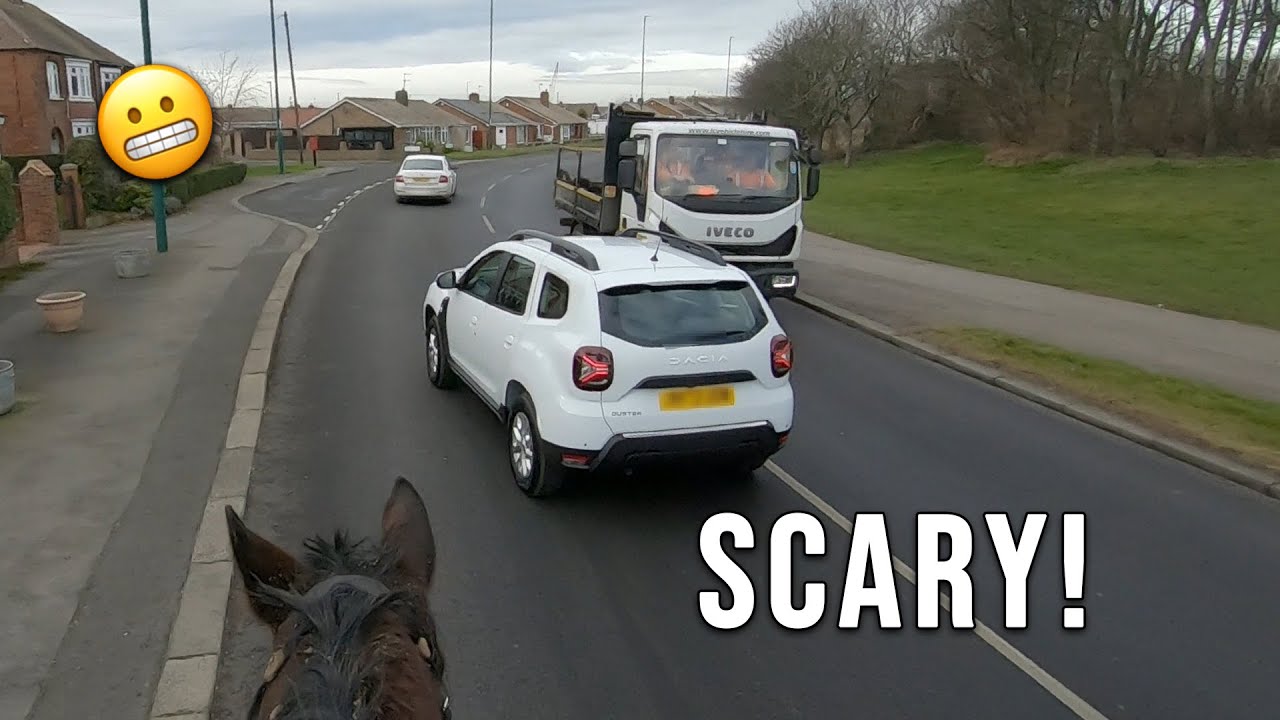 CARS GET TOO CLOSE TO MY HORSE | LOTS OF NEAR MISSES | GO PRO 7 POV | EquineAsh