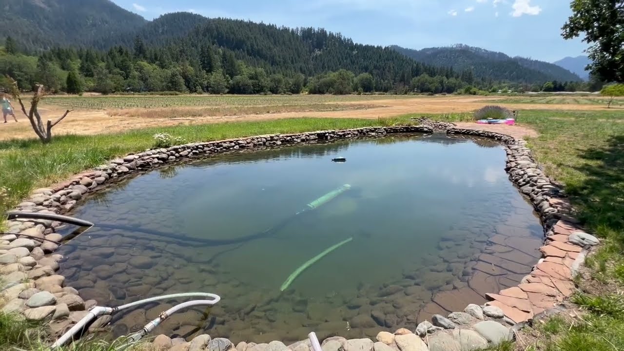 Alive and Well x East Fork Cultivars Farm Tour Hemp  Irrigation / Swimming Hole