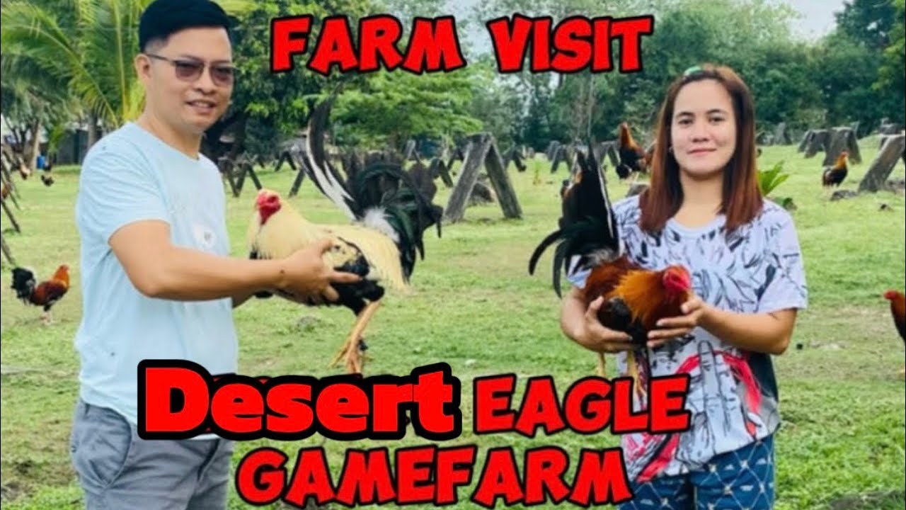 FARM VISIT SA DESSERT EAGLE GAMEFARM