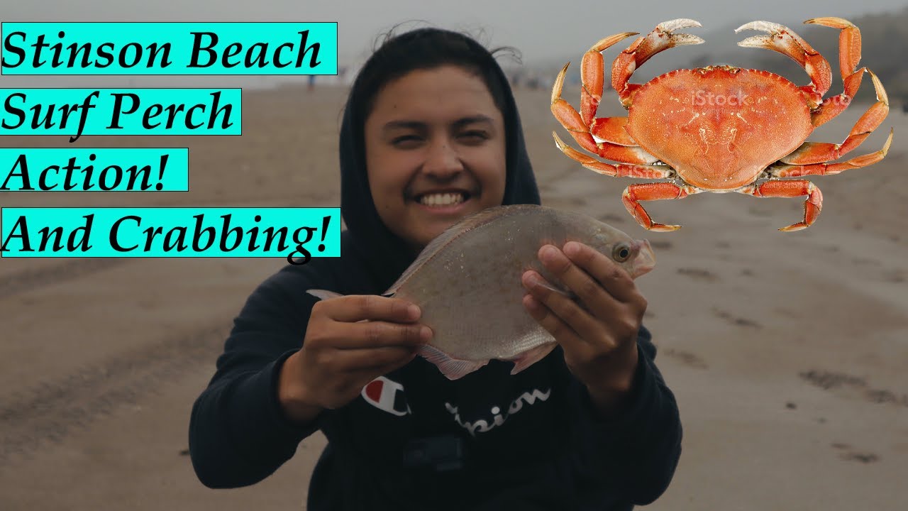 Stinson Beach 05/19/21 l Surf Perch Fishing and Beach Crabbing