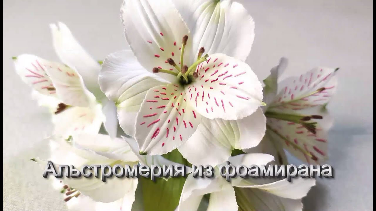 Альстромерия из фоамирана