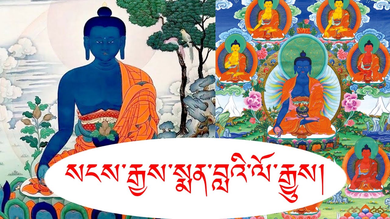 སངས་རྒྱས་སྨན་བླ་ཡི་ལོ་རྒྱུས་ངོ་སྤྲོད། སྨོན་ལམ། ཕན་ཡོན། བོད་ཚེས་བརྒྱད།