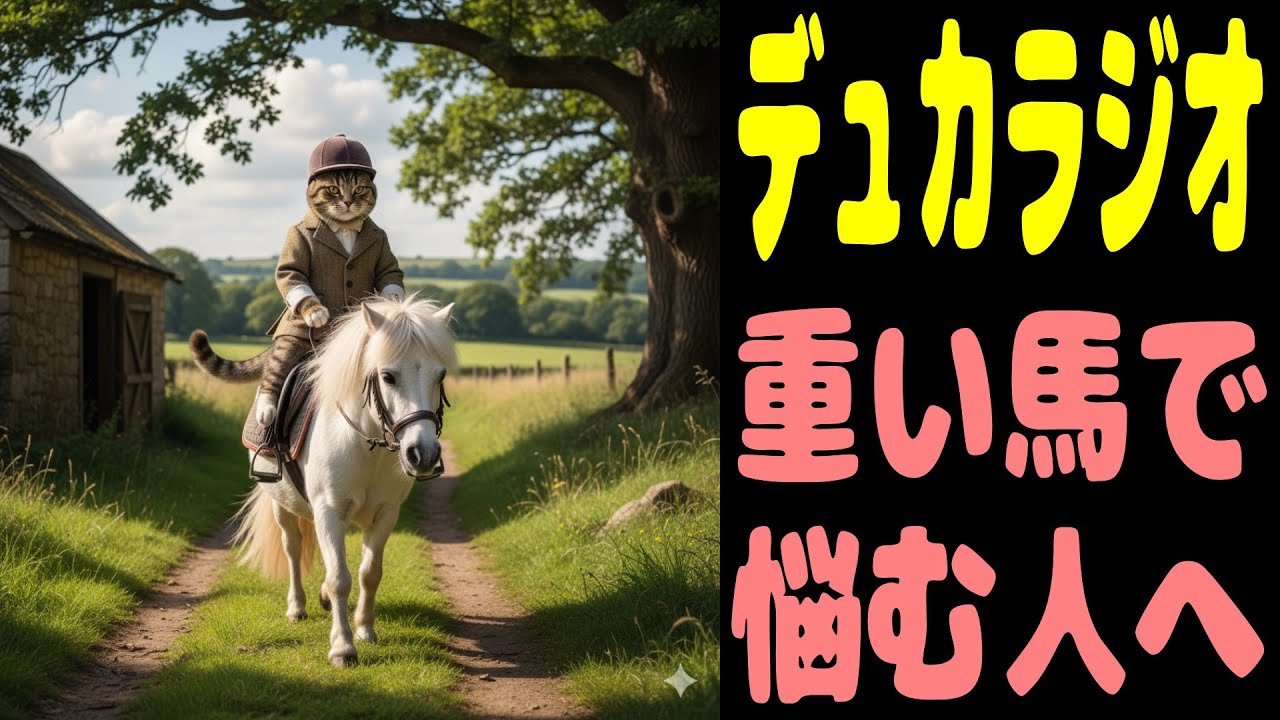 【乗馬】デュカラジオ　重い馬で悩む人へ【初心者】