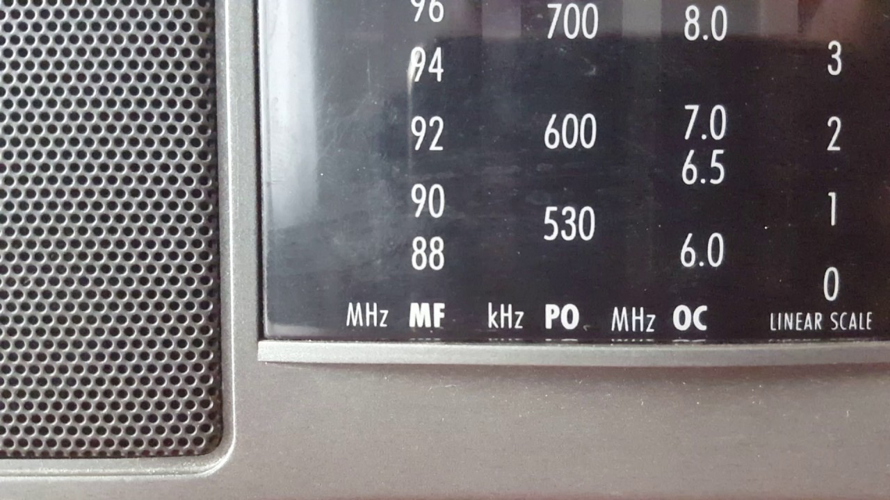 BRANITELJI VISEGRADA RADIO BIH