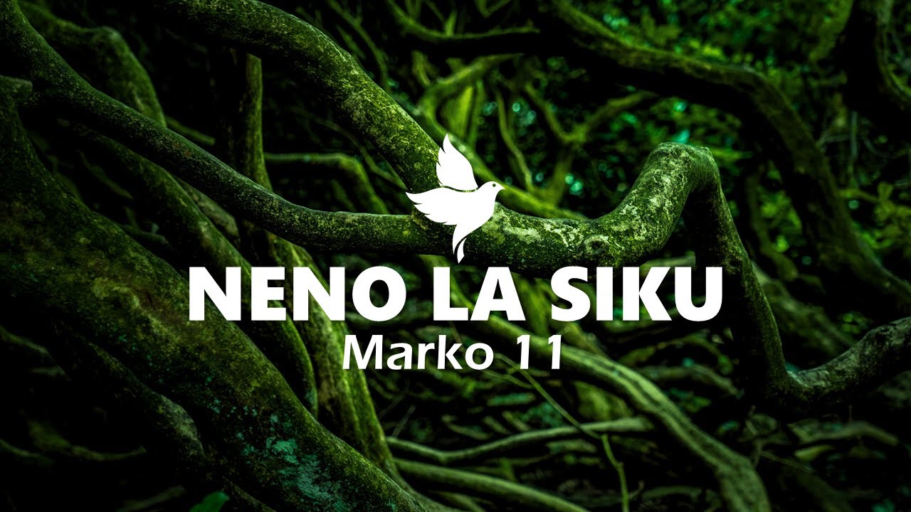 NENO LA SIKU | Marko 11 | Maombi Ya Kuharibu Vyanzo Vya Matatizo | Isaac Javan