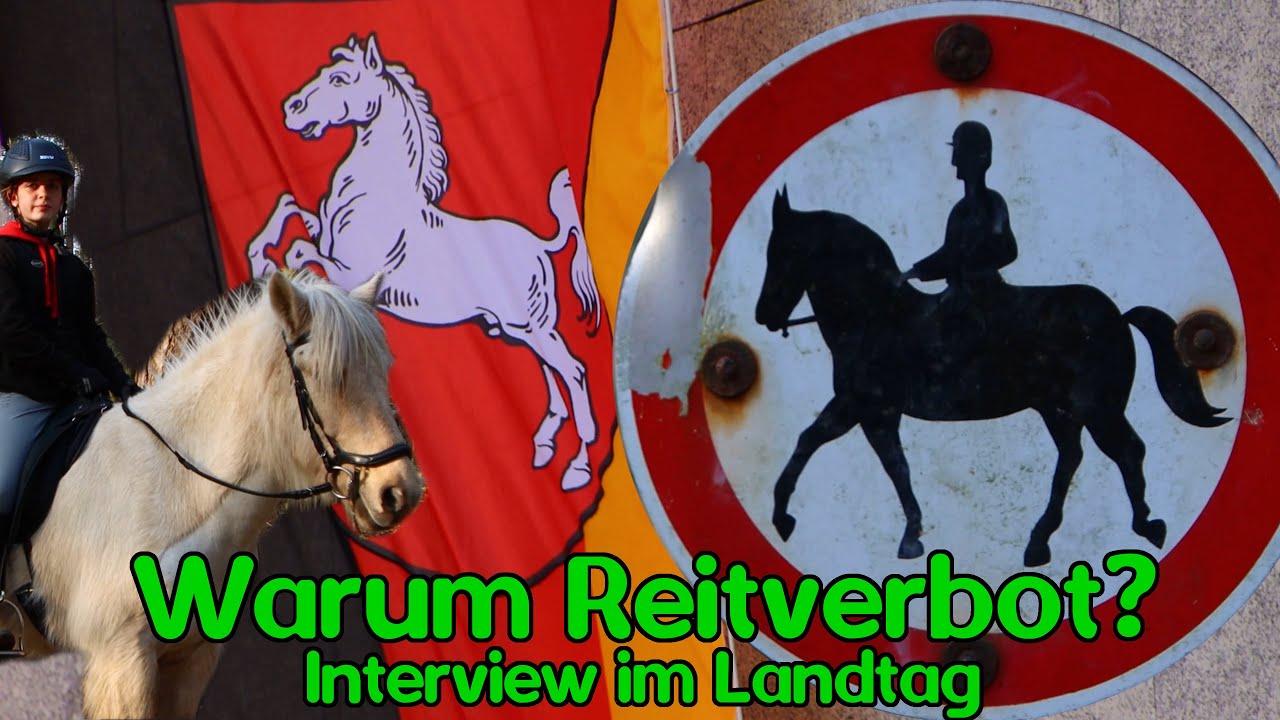 Warum ist hier Reiten verboten? 🏇🚫