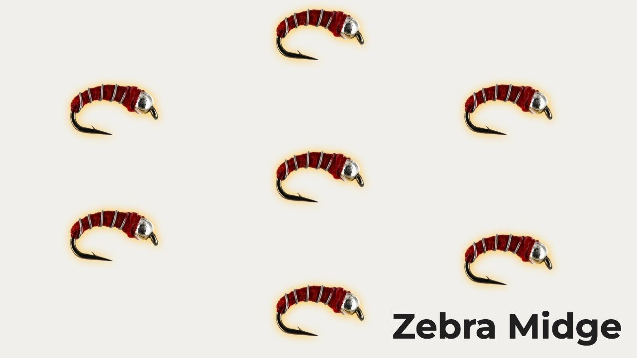 The Zebra Midge - The small fly that catches BIG TROUT!