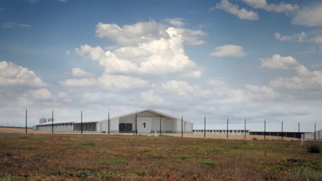 SKOV Combi-Tunnel Ventilation Poultry