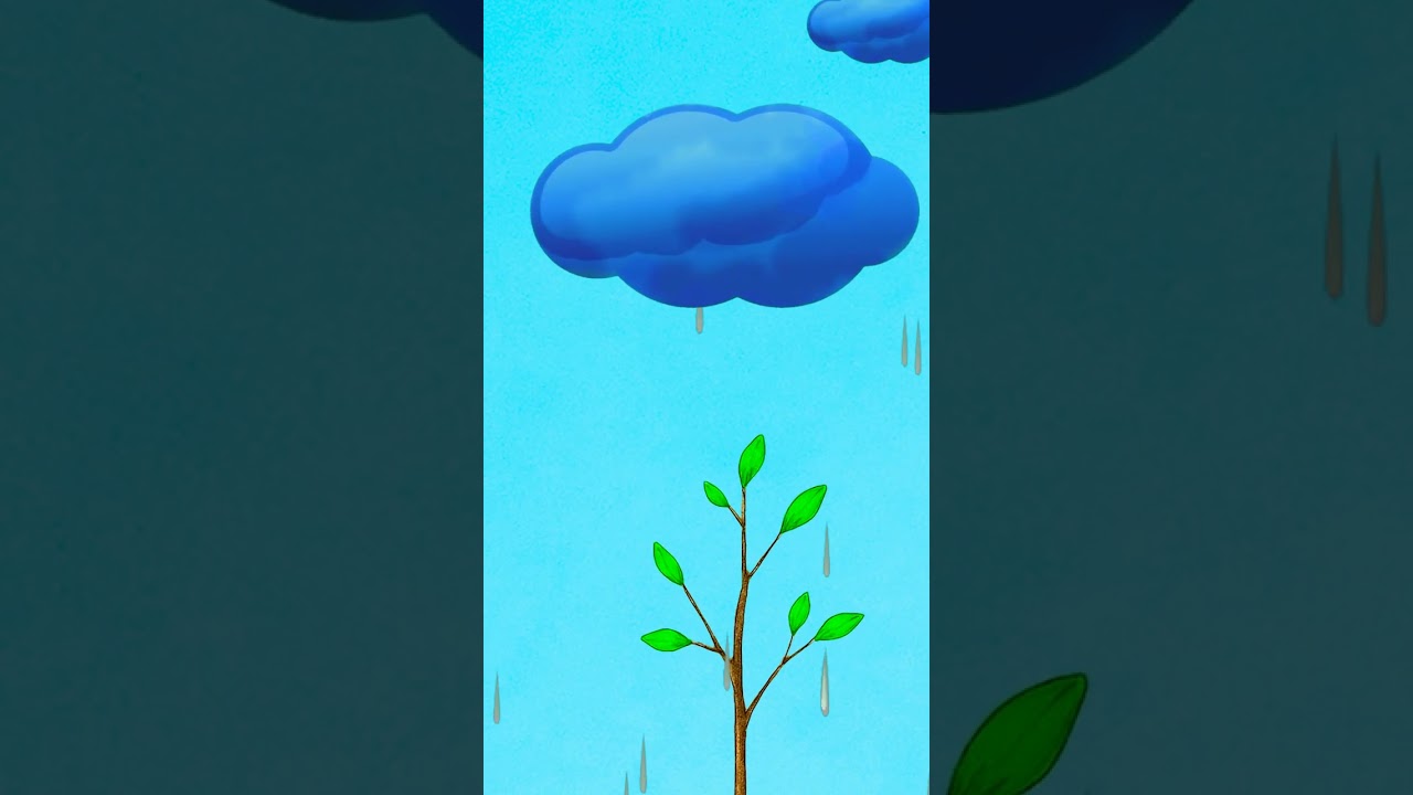 🌳 Orange Tree MAGIC 🍊 Learn How FRUITS Grow for Kids! #learn