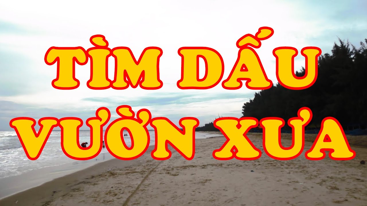 Hồi Ký Miền Nam | TÌM DẤU VƯỜN XƯA (ĐINH HOA LƯ)