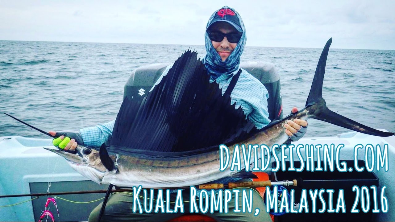 Sailfish Fly Fishing Rompin