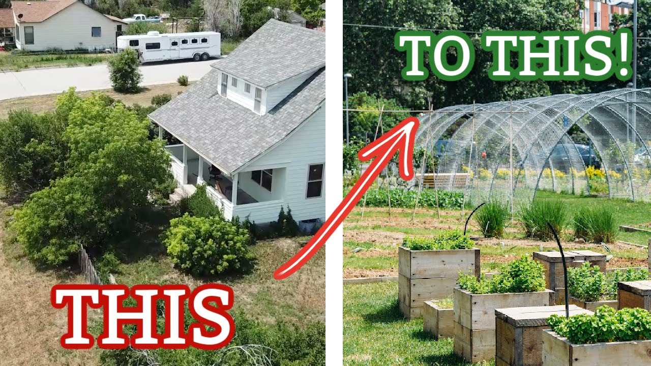 If I Lived in Town, This is How I Would Homestead!