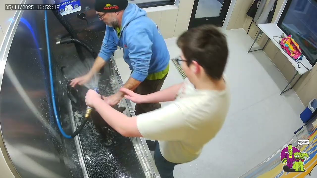 Shake it like a Polaroid at Monster Pet Wash