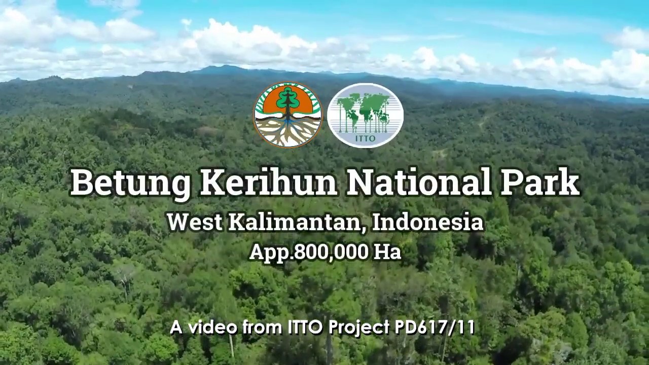 Video of ITTO project PD617/11 in Betung Kerihun National Park in Indonesia