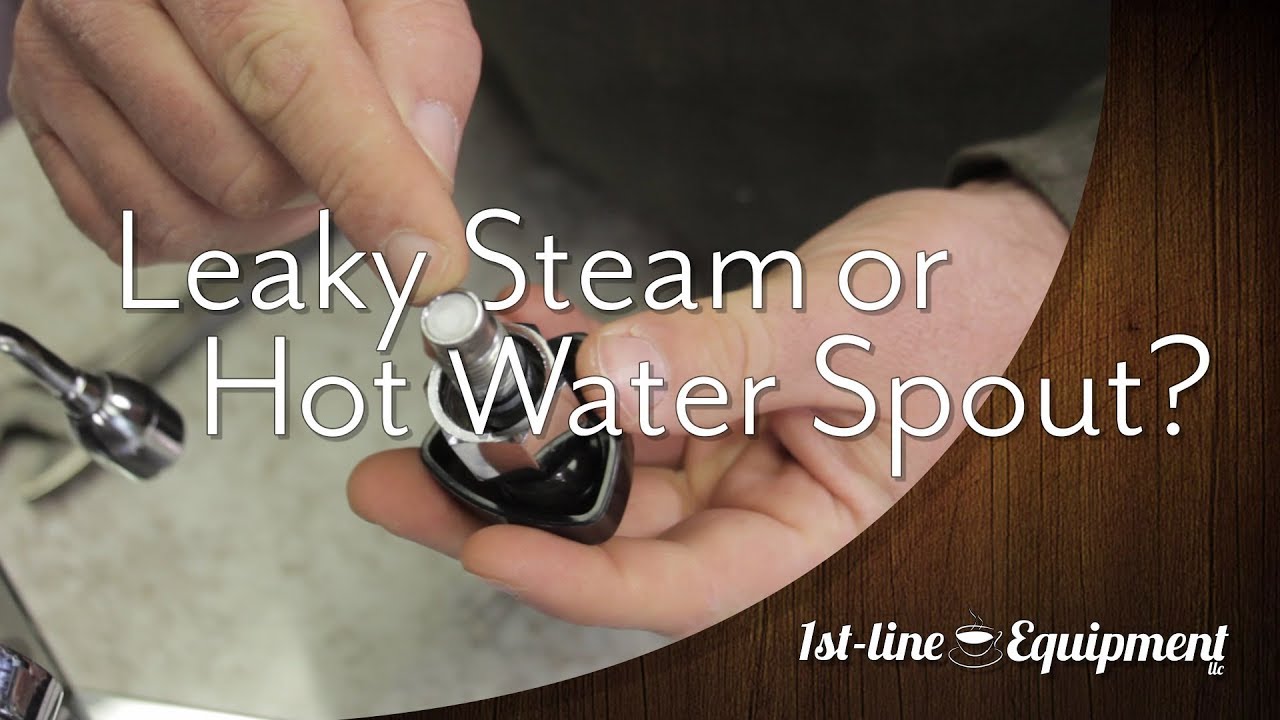 Leaky Vibiemme Steam or Hot Water Spout?