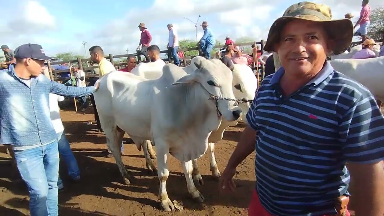 Feira de gado de Tabira-PE (11/03/26)