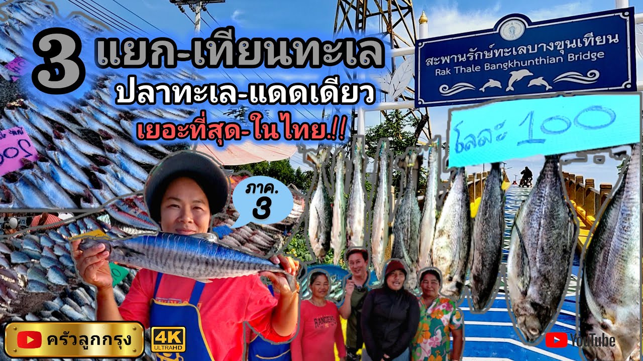 3แยก-เทียนทะเล : สะพานรักษ์ทะเลบางขุนเทียน​  ปลาทะเลแดดเดียว-เยอะที่สุดในไทย  ถูกกว่ามาก-สดทุกวัน !!