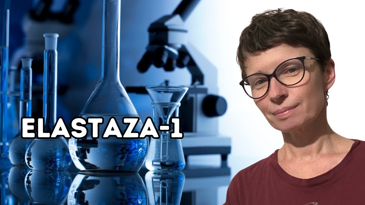 Niestrawność, wzdęty brzuch, bóle brzucha - koniecznie zbadaj trzustkę.